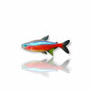 Cardenal Tetra Jumbo  Paracheirodon Axelrodi