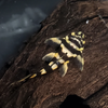 L168 Dekeyseria Brachyura  Plecos Peckoltia (River Atabapo)