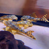 L124 Peckoltia Sabaji/L75 PARA PLECO